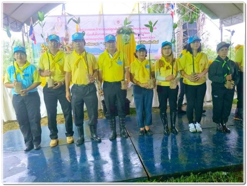 ﻿สำนักงานบังคับคดีจังหวัดระนองเข้าร่วมโครงการปลูกป่าชายเลนเฉลิมพระเกียรติ ในกิจกรรมปลูกต้นไม้และปลูกป่าเฉลิมพระเกียรติ เนื่องในโอกาสมหามงคลพระราชพิธีบรมราชาภิเษก